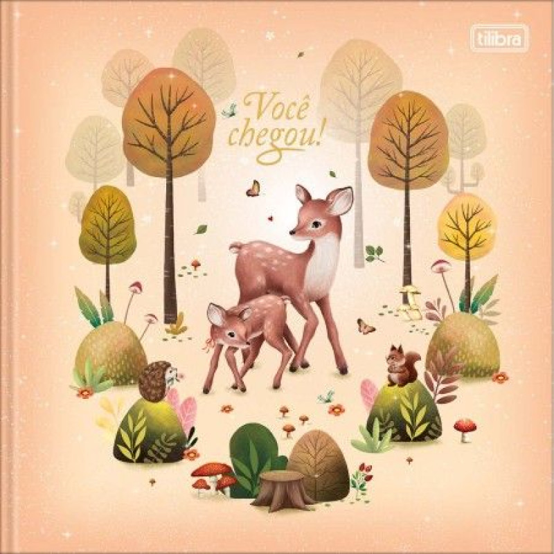 LIVRO DO BEBE 34 FOLHAS TILIBRA - REF. 12421 - PACOTE COM 5 UNIDADES