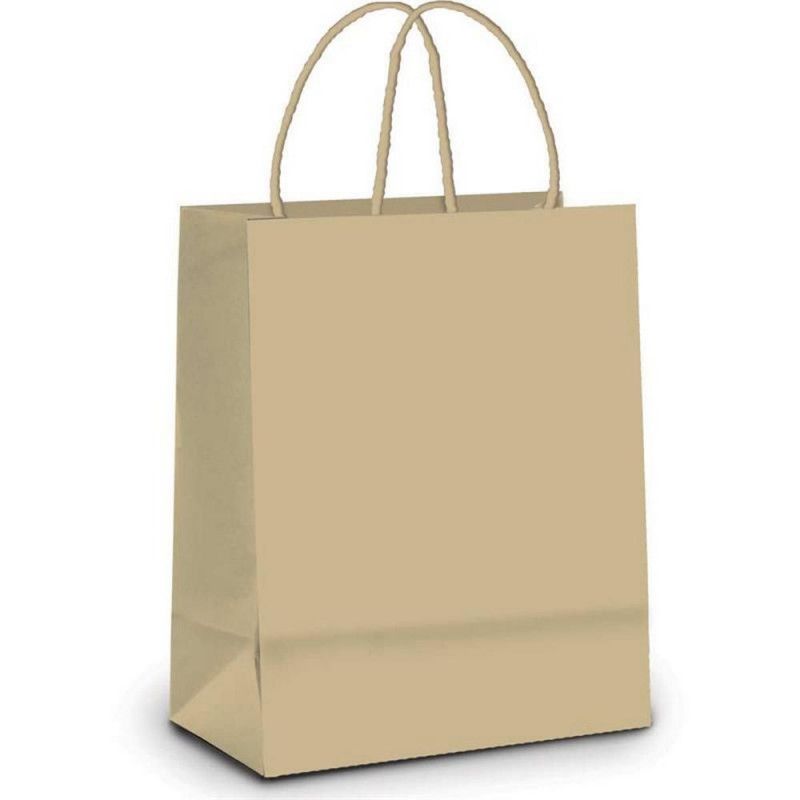 SACOLA PRESENTE KRAFT P 21.5X15X8CM CROMUS - REF. 1000022 - PACOTE COM 10 UNIDADES