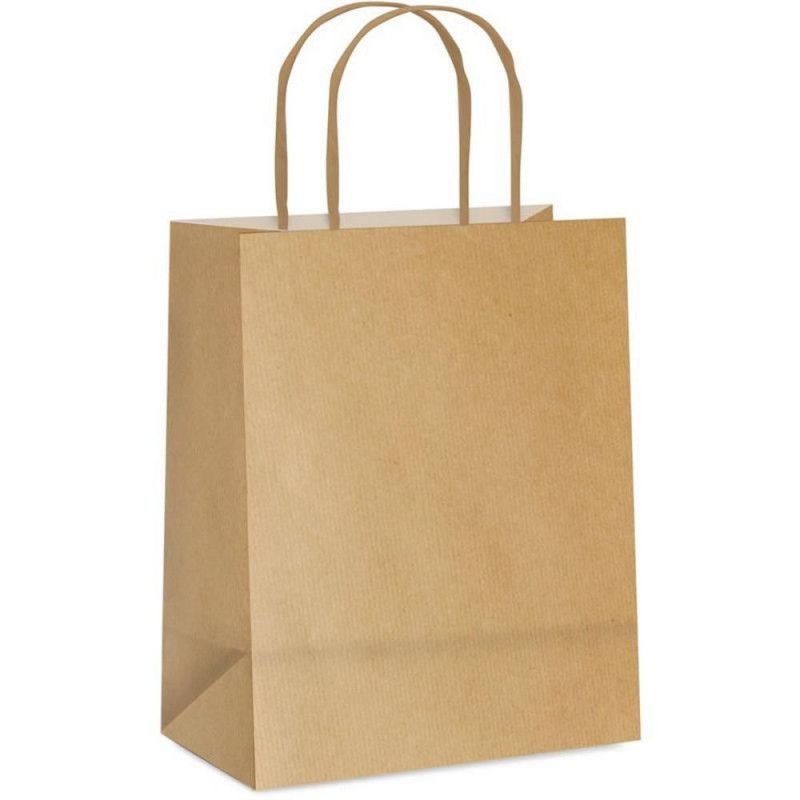 SACOLA PRESENTE KRAFT M 26X19.5X9.5CM CROMUS - REF. 1001022 - PACOTE COM 10 UNIDADES