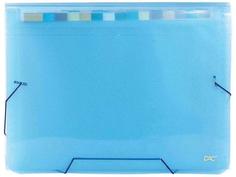 PASTA SANFONADAS OFICIO 31 DIVISORIAS AZUL DAC - REF. 6019-AZ - 1 UNIDADE