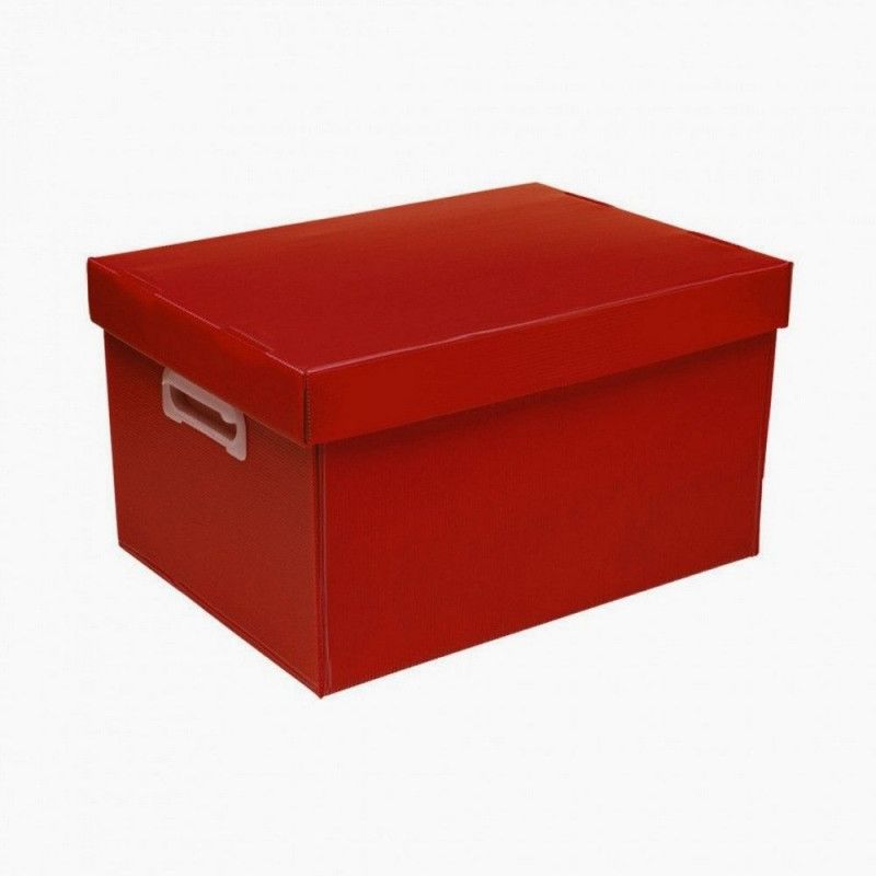 CAIXA ORGANIZADORA P 335X255X180MM VERMELHO POLIBRAS - REF. 22107 - 1 UNIDADE