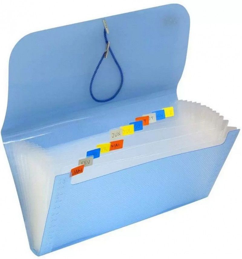 PASTA SANFONADA CHEQUE 12 DIVISORIAS AZUL DAC - REF. 6080AZ - 1 UNIDADE