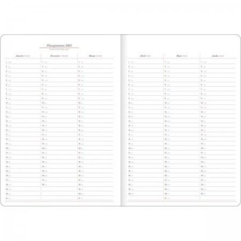 PLANNER EXECUTIVO GRAMPEADO CAMBRIDGE M7 TILIBRA 2025 - REF. 130257 - PACOTE COM 10 UNIDADES