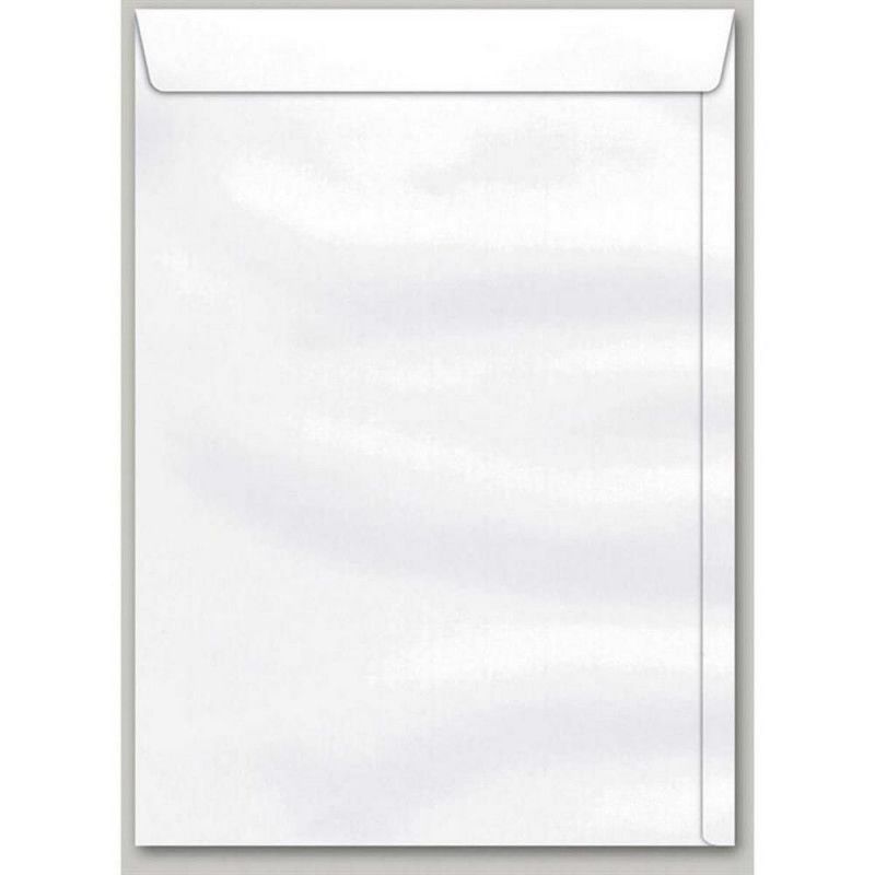 ENVELOPE SACO 23OF 162X229MM BRANCO SCRITY - REF. 23OF - CAIXA COM 250 UNIDADES