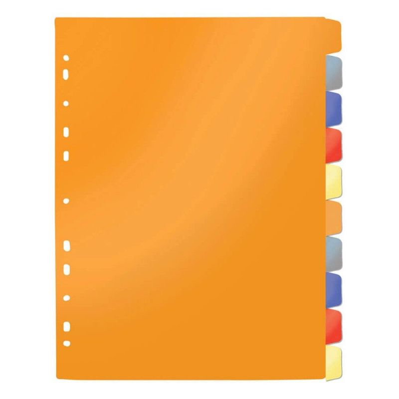 DIVISORIA PARA FICHARIO UNIVERSAL 10 DIVISORIAS COLORIDA DAC - REF. 6922CL - PACOTE COM 20 UNIDADES