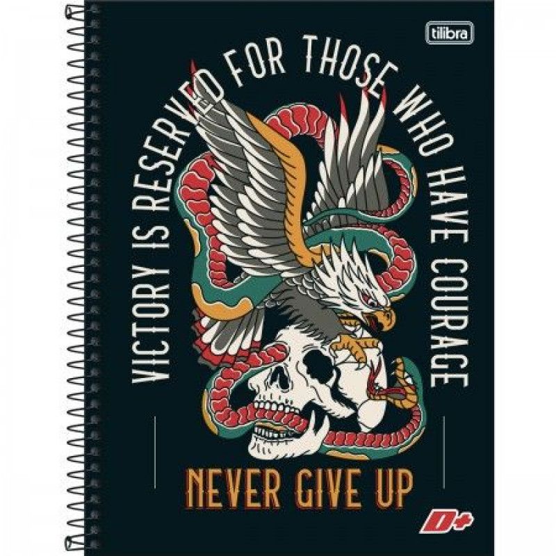 CADERNO 20 MATERIAS CAPA DURA 400 FOLHAS MAIS MASCULINO - REF. 12822 - PACOTE COM 2 UNIDADES