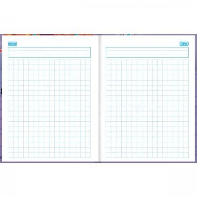 CADERNO QUADRICULADO CAPA DURA 40 FOLHAS SAPECA 14493 - REF. 14493 - CAIXA COM 8 UNIDADES