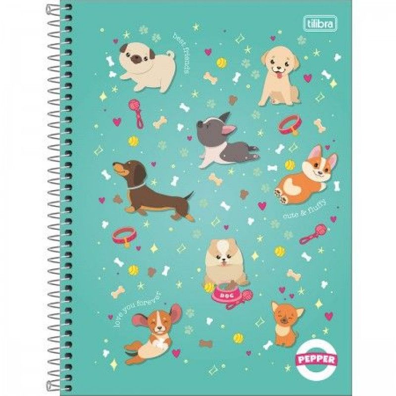 CADERNO 20 MATERIAS CAPA DURA 320 FOLHA PEPPER FEMININO 23658 - REF. 23658 - PACOTE COM 2 UNIDADES