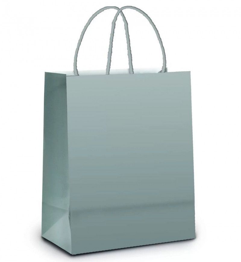 SACOLA PARA PRESENTE LAMINADO 21.5 X 15 X 8 CM PRATA  - REF. 1000045 - PACOTE COM 10 UNIDADES