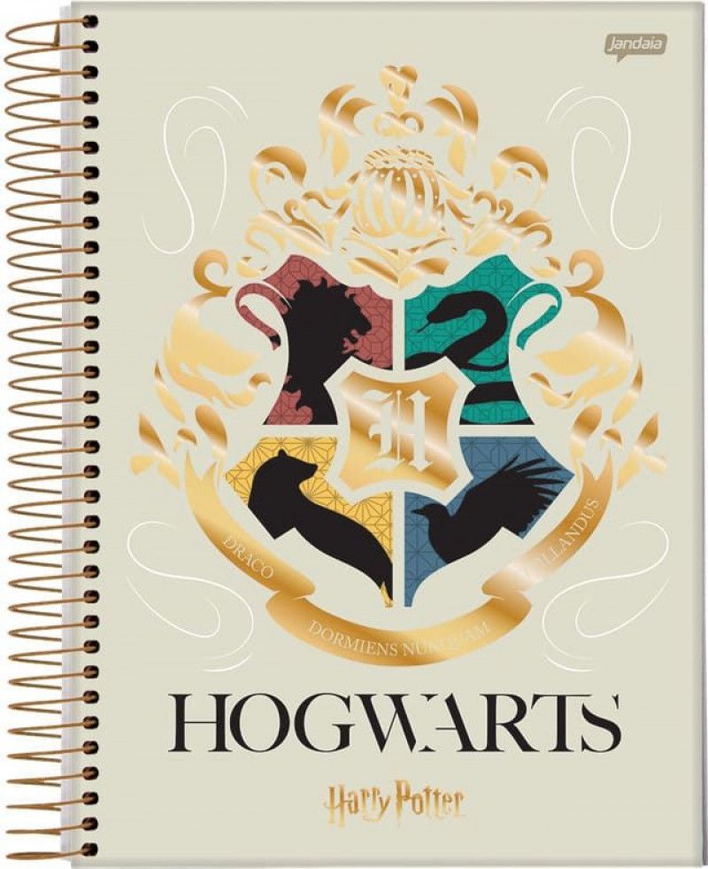 CADERNO 15 MATERIAS CAPA DURA 300FL HARRY POTTER JANDAIA - REF. 63602 - PACOTE COM 2 UNIDADES
