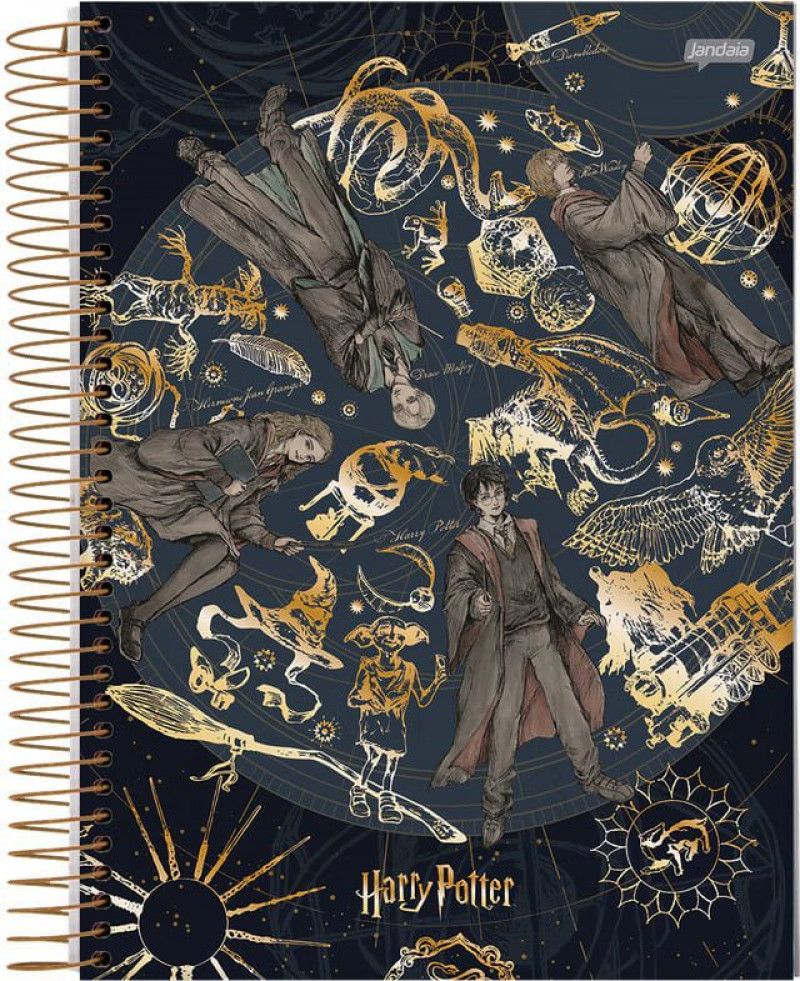 CADERNO 15 MATERIAS CAPA DURA 300FL HARRY POTTER JANDAIA - REF. 63602 - PACOTE COM 2 UNIDADES