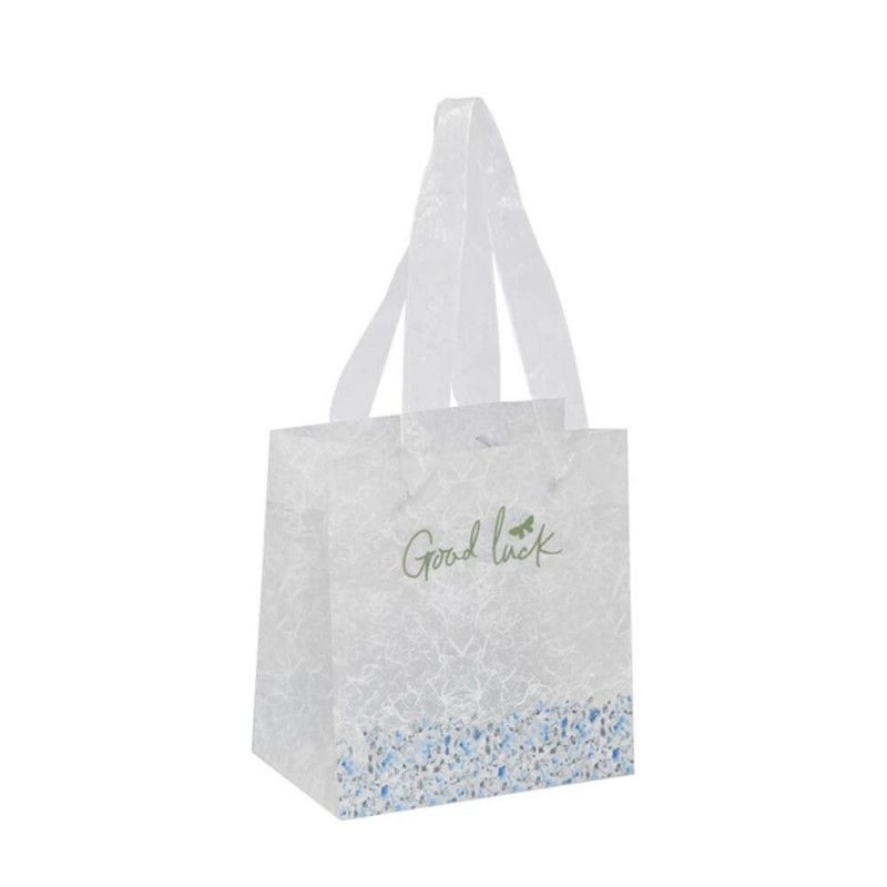 SACOLA DE PRESENTE PLASTICO 13X14CM P GOOD LUCK - REF. 3396 - PACOTE COM 12 UNIDADES