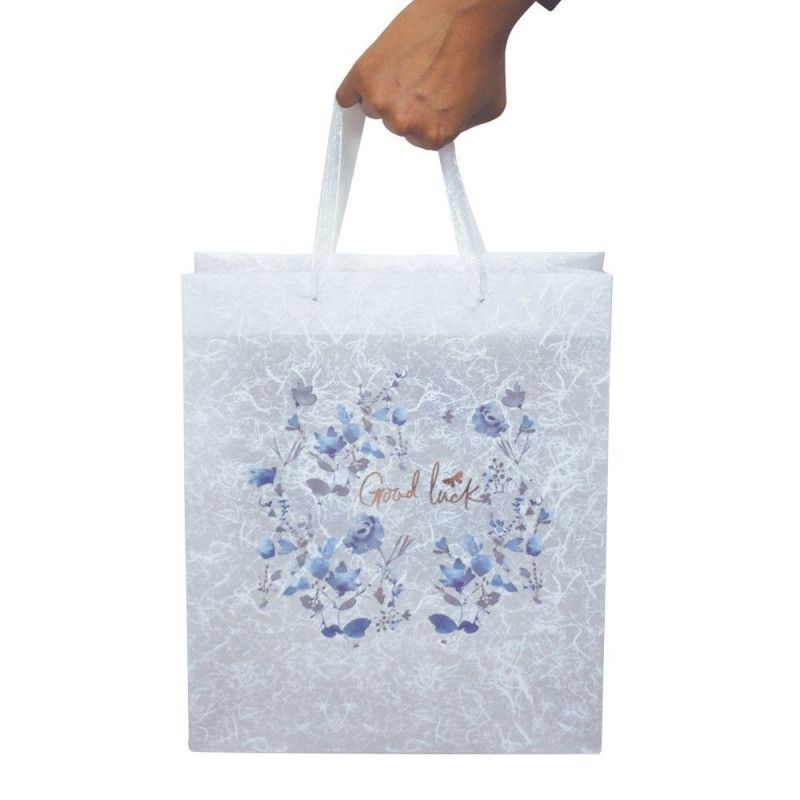 SACOLA PRESENTE PLASTICA 26X31CM G GOOD LUCK - REF. 3398 - PACOTE COM 12 UNIDADES