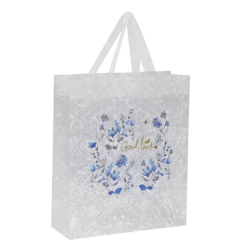 SACOLA PRESENTE PLASTICA 26X31CM G GOOD LUCK - REF. 3398 - PACOTE COM 12 UNIDADES