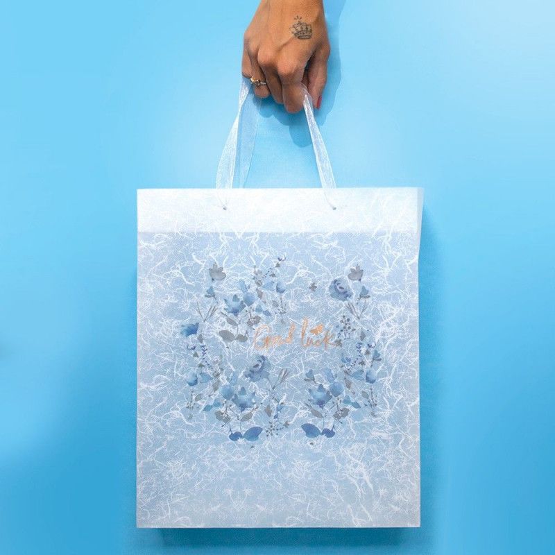SACOLA PRESENTE PLASTICA 26X31CM G GOOD LUCK - REF. 3398 - PACOTE COM 12 UNIDADES