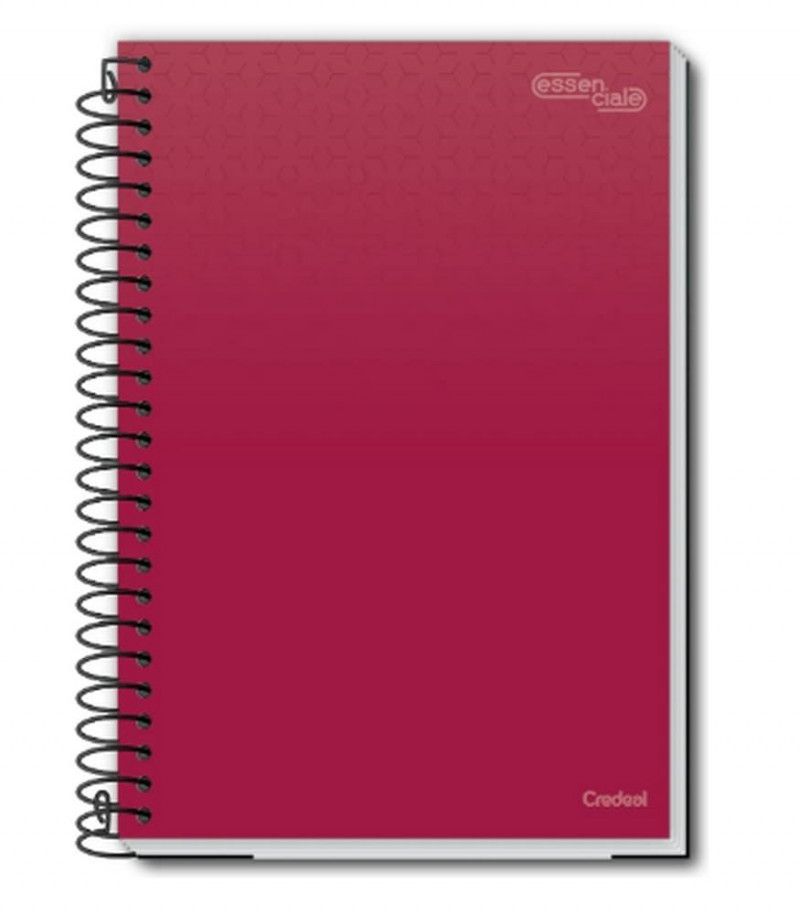 CADERNO 20 MATERIAS CAPA DURA 280 FOLHAS ESSENCIALE CREDEAL - REF. 277225 - PACOTE COM 2 UNIDADES