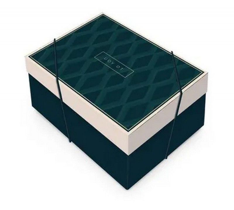CAIXA RETANGULAR COM TAMPA JAMES G 46x33x14 - REF. 13005692 - PACOTE COM 10 UNIDADES