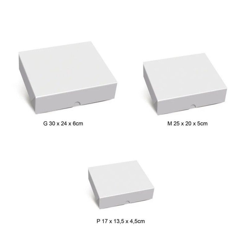CAIXA DE PRESENTE RETANGULAR TAMPA/FUNDO LINES M 25X20X5CM  - REF. 13006019 - PACOTE COM 10 UNIDADES