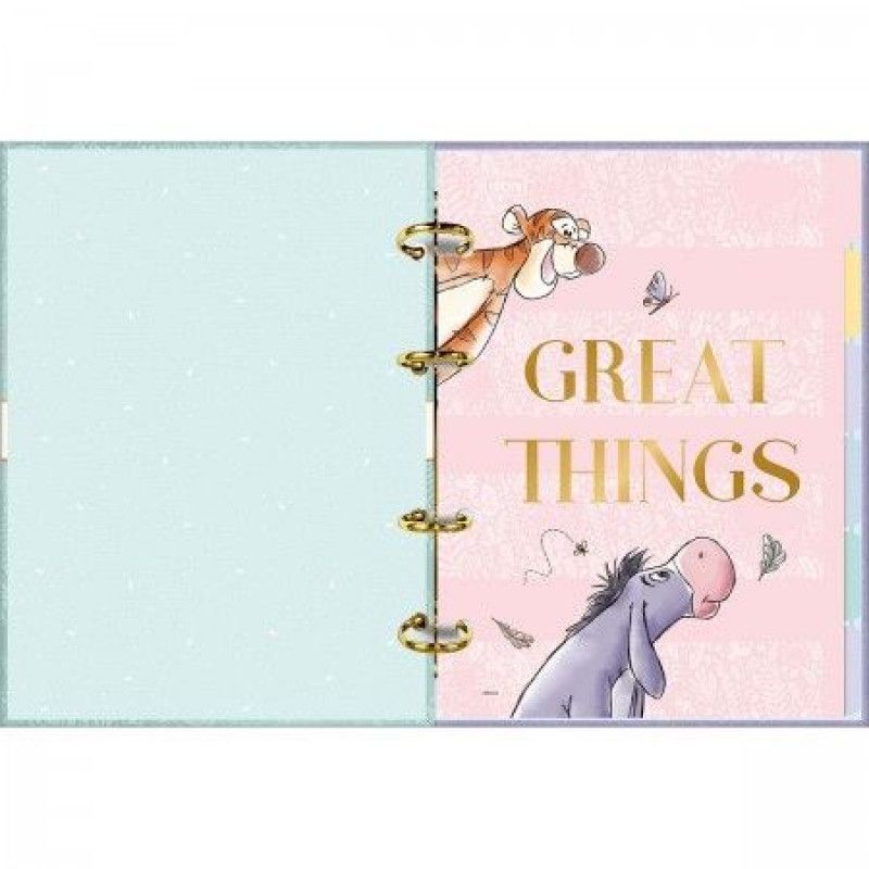 CADERNO ARGOLADO 80 FOLHAS COLEGIAL POOH TILIBRA - REF. 35138 - 1 UNIDADE