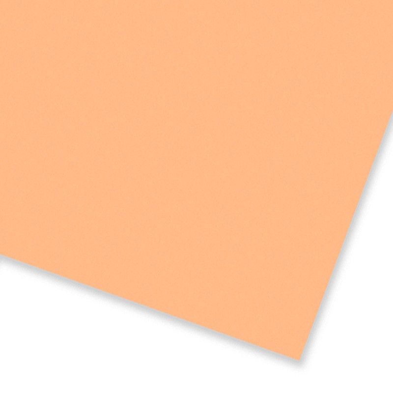 PLACA EVA 60X40CM LISO MAKE+ SALMAO - REF. 9697 SALMAO - PACOTE COM 10 UNIDADES