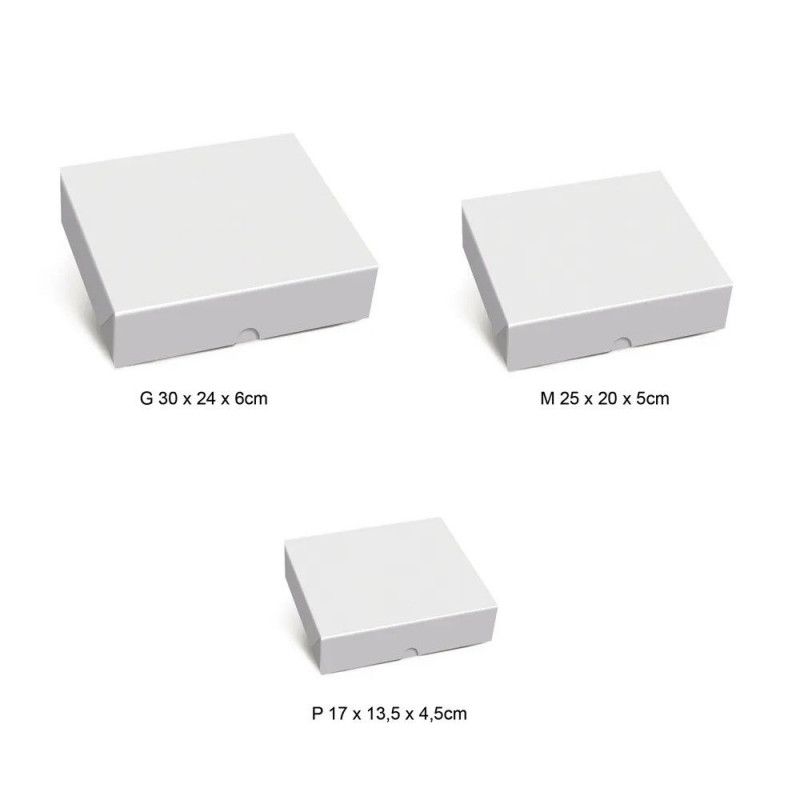 CAIXA PARA PRESENTE RETANGULAR TAMPA/FUNDO KRAFT P CROMUS - REF. 13003696 - PACOTE COM 10 UNIDADES