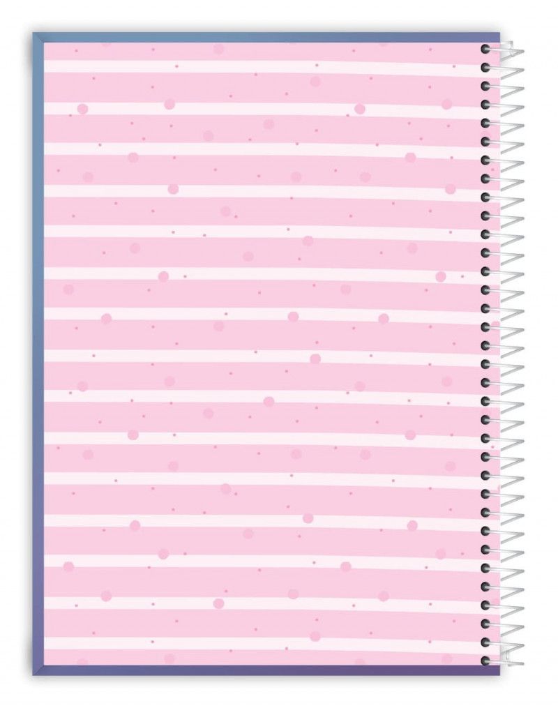 CADERNO 1 MATERIA CAPA DURA 80 FOLHAS BE-MAGNETIC CREDEAL - REF. 284780 - PACOTE COM 3 UNIDADES