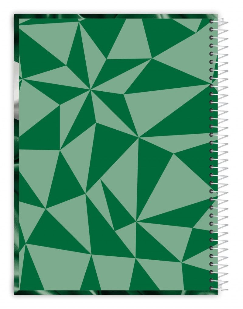 CADERNO 10 MATERIAS CAPA DURA 160 FOLHAS PALMEIRAS CREDEAL - REF. 284339 - PACOTE COM 2 UNIDADES