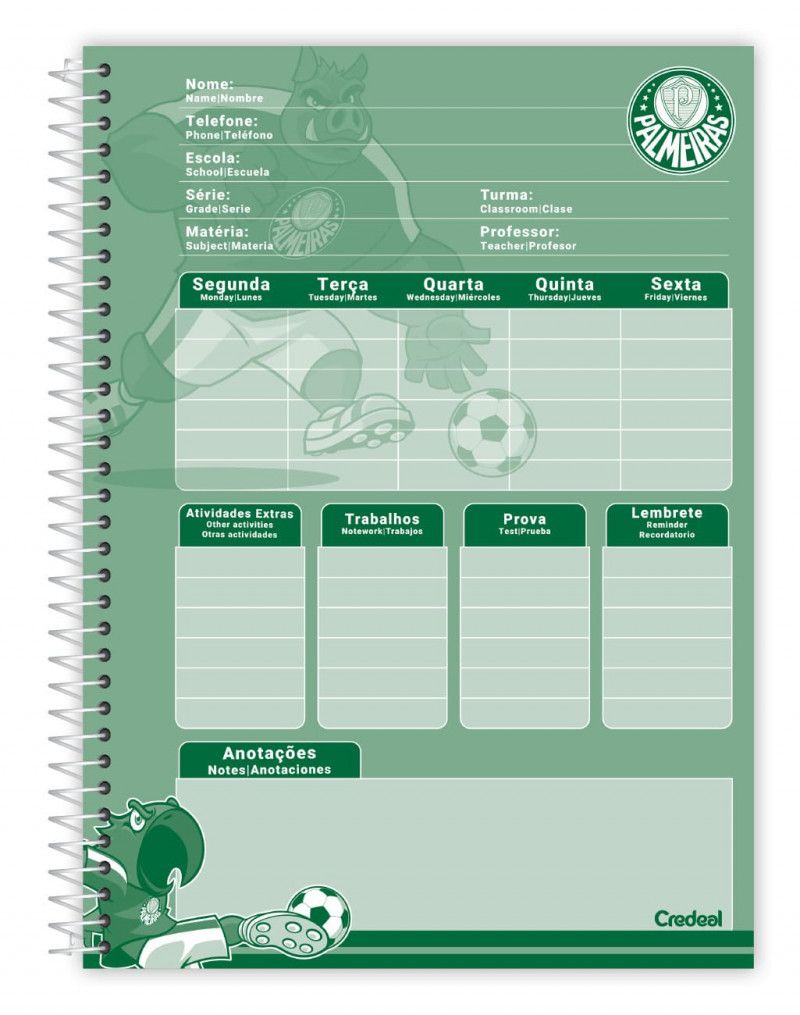 CADERNO 10 MATERIAS CAPA DURA 160 FOLHAS PALMEIRAS CREDEAL - REF. 284339 - PACOTE COM 2 UNIDADES