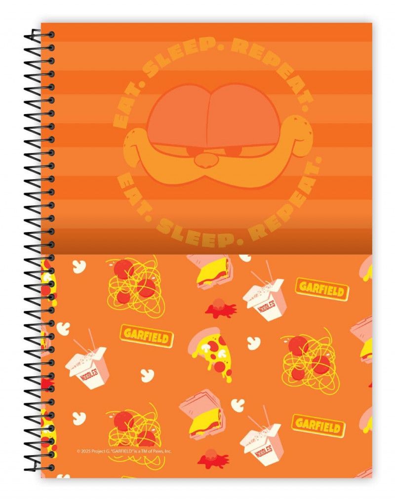 CADERNO 10 MATERIAS CAPA DURA 160 FOLHAS GARFIELD O FILME CREDEAL - REF. 284247 - PACOTE COM 2 UNIDADES
