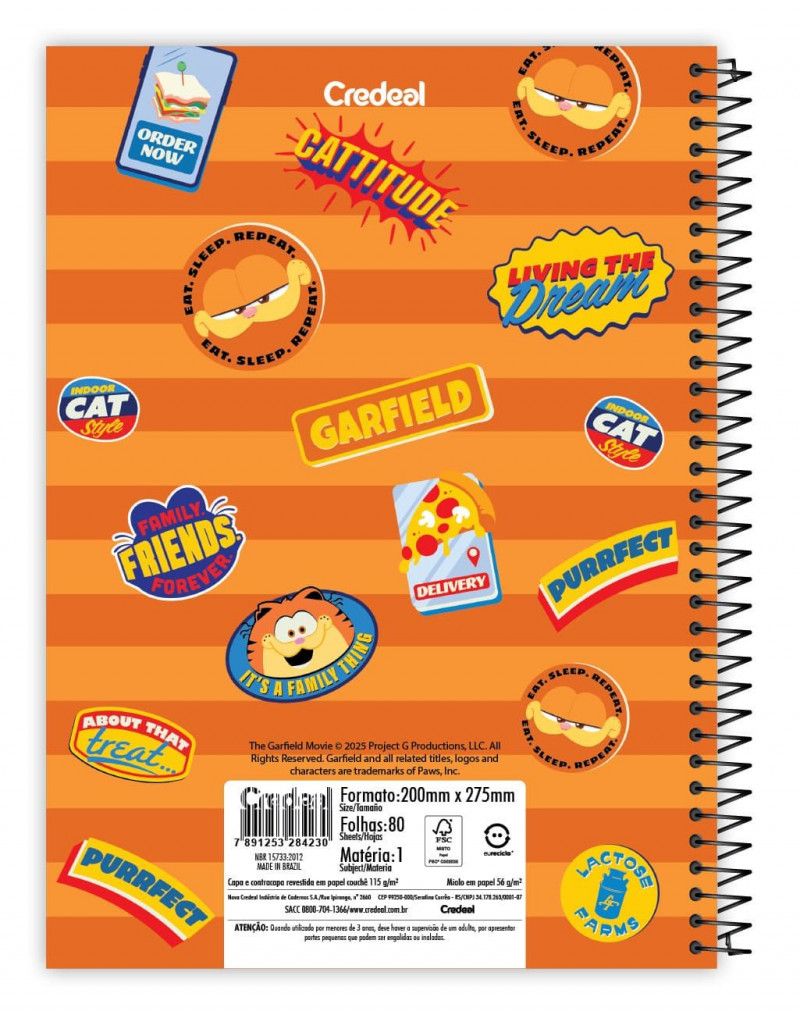 CADERNO 10 MATERIAS CAPA DURA 160 FOLHAS GARFIELD O FILME CREDEAL - REF. 284247 - PACOTE COM 2 UNIDADES