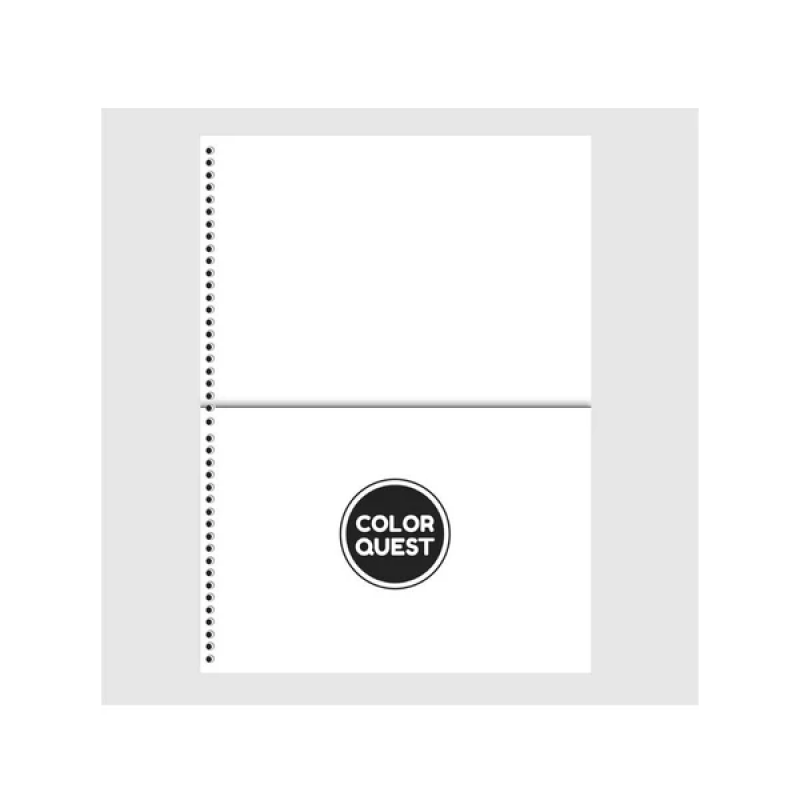 CADERNO 1 MATERIA CAPA DURA 80 FOLHAS COLOR QUEST ANIMATIVA - REF. 10849 - PACOTE COM 4 UNIDADES