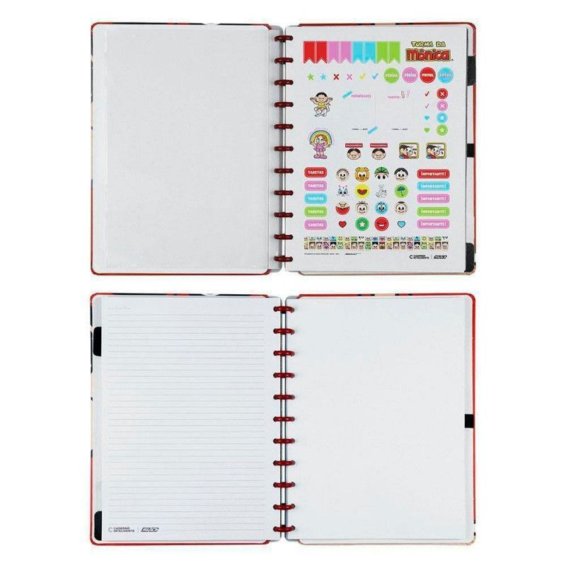CADERNO 1 MATERIA INTELIGENTE DISCO MONICA ANIMATIVA - REF. 9311 - 1 UNIDADE.