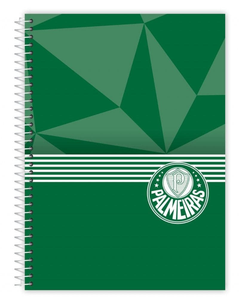CADERNO 16 MATERIAS CAPA DURA 256 FOLHAS PALMEIRAS CREDEAL - REF. 284353 - PACOTE COM 2 UNIDADES