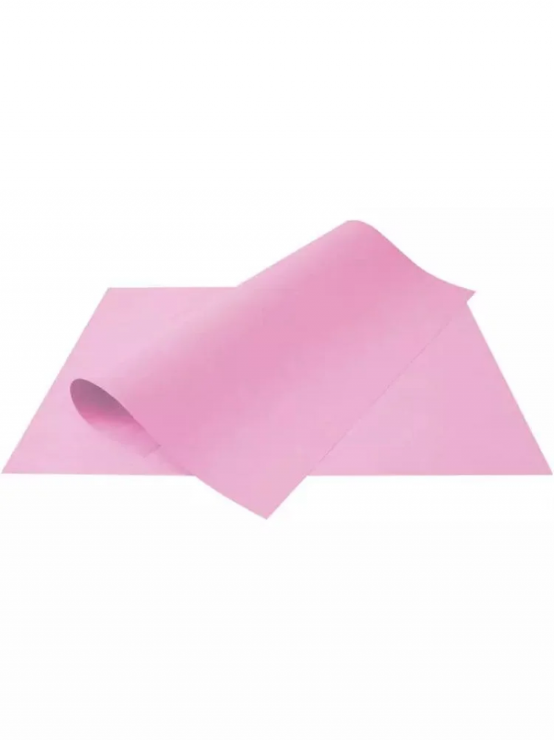 CARTOLINA 140G 50X66CM ROSA JANDAIA - REF. 04803 - PACOTE COM 100 UNIDADES