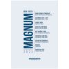 AGENDA COSTURADA EXECUTIVO MAGNUM 2026 SAO DOMINGOS ANIMATIVA - REF. 9405 - PACOTE COM 2 UNIDADES