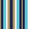 SACO 50X70CM METAL SORTIDO MASCULINO CROMUS - REF. 99003122 - PACOTE COM 25 UNIDADES