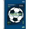 CADERNO 1 MATERIA CAPA DURA 96 FOLHAS MAIS MASCULINO - REF. 12795 - PACOTE COM 4 UNIDADES