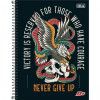 CADERNO 1 MATERIA CAPA DURA 96 FOLHAS MAIS MASCULINO - REF. 12795 - PACOTE COM 4 UNIDADES