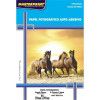 PAPEL FOTOGRAFICO A4 130G AUTO ADESIVO 20 FOLHAS - REF. 302010008 - 1 UNIDADE