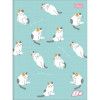 CADERNO BROCHURAO CAPA DURA 96 FOLHAS D+ - REF. 23374 - PACOTE COM 5 UNIDADES
