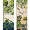 CADERNO 1 MATERIA CAPA DURA 80 FOLHAS NATURALIS TILIBRA - REF. 29145 - PACOTE COM 4 UNIDADES