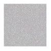 PLACA EVA 60X40 GLITER BRANCO - REF. J17 - PACOTE COM 5 UNIDADES