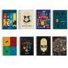 CADERNO 15 MATERIAS CAPA DURA 300FL HARRY POTTER JANDAIA - REF. 63602 - PACOTE COM 2 UNIDADES
