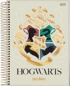 CADERNO 15 MATERIAS CAPA DURA 300FL HARRY POTTER JANDAIA - REF. 63602 - PACOTE COM 2 UNIDADES