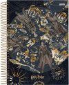 CADERNO 15 MATERIAS CAPA DURA 300FL HARRY POTTER JANDAIA - REF. 63602 - PACOTE COM 2 UNIDADES