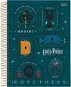 CADERNO 15 MATERIAS CAPA DURA 300FL HARRY POTTER JANDAIA - REF. 63602 - PACOTE COM 2 UNIDADES