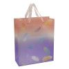 SACOLA PRESENTE PLASTICA 26X31CM G SONHOS - REF. 3358 - PACOTE COM 12 UNIDADES