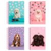CADERNETA 80 FOLHAS ESPIRAL CAPA DURA MY PETS SAO DOMINGOS - REF. 231005 - PACOTE COM 10 UNIDADES