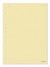 BLOCO PARA FICHARIO 40 FOLHAS COLEGIAL QUADRICULADO 90G CREDEAL - REF. 277119 - 1 UNIDADE