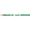 LAPIS PRETO ECO REDONDO PETS FABER-CASTELL - REF. 935PET - CAIXA COM 72 UNIDADES